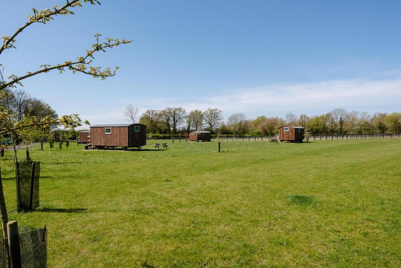 Honeysuckle By In Suffolk, Monk Soham Woodbridge